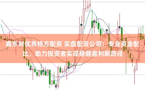鑫东财优秀杨方配资 实盘配资公司：专业资金配比，助力投资者实现稳健盈利新路径