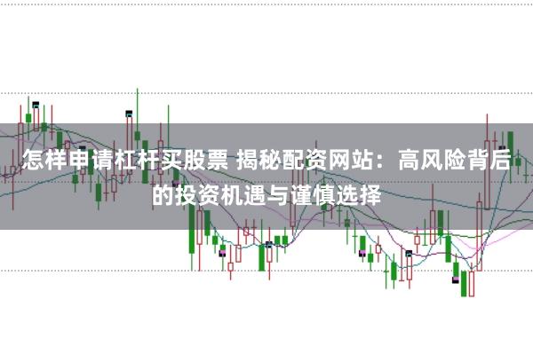 怎样申请杠杆买股票 揭秘配资网站：高风险背后的投资机遇与谨慎选择