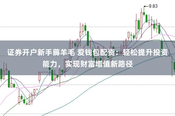 证券开户新手薅羊毛 爱钱包配资：轻松提升投资能力，实现财富增值新路径