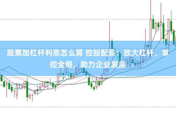 股票加杠杆利息怎么算 控股配资：放大杠杆，掌控全局，助力企业发展