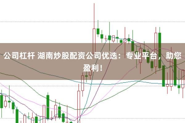 公司杠杆 湖南炒股配资公司优选：专业平台，助您盈利！