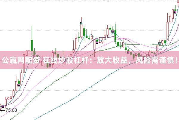 公赢网配资 在线炒股杠杆：放大收益，风险需谨慎！