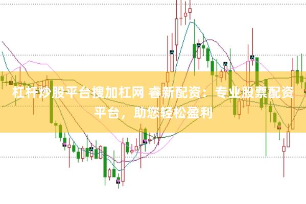 杠杆炒股平台搜加杠网 睿新配资：专业股票配资平台，助您轻松盈利