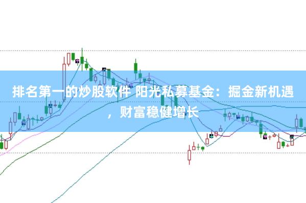 排名第一的炒股软件 阳光私募基金：掘金新机遇，财富稳健增长
