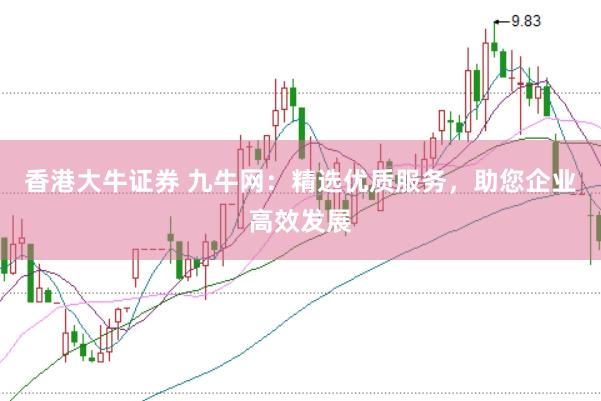 香港大牛证券 九牛网：精选优质服务，助您企业高效发展
