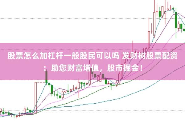 股票怎么加杠杆一般股民可以吗 发财树股票配资：助您财富增值，股市掘金！