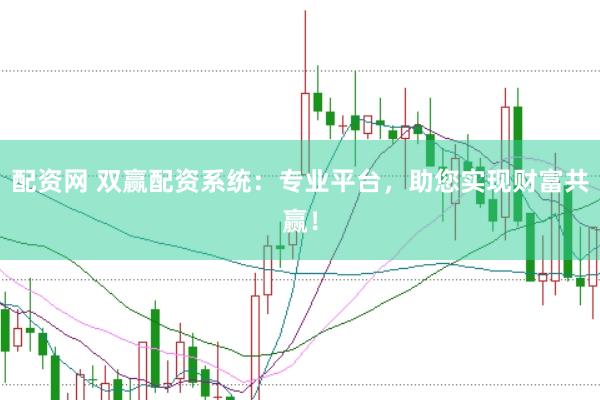 配资网 双赢配资系统：专业平台，助您实现财富共赢！