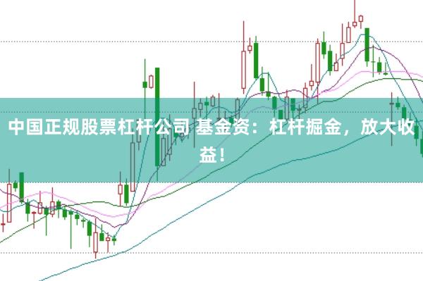 中国正规股票杠杆公司 基金资：杠杆掘金，放大收益！
