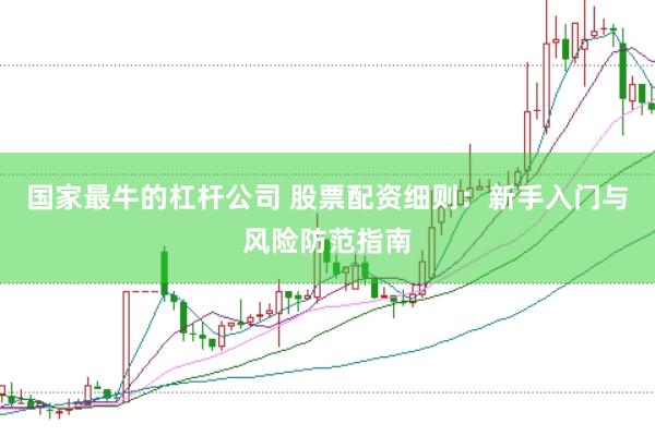 国家最牛的杠杆公司 股票配资细则：新手入门与风险防范指南