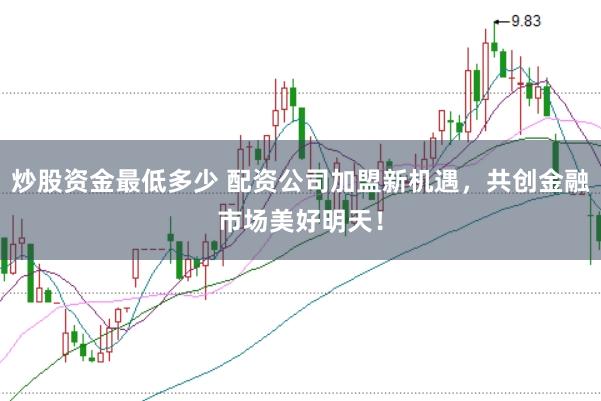 炒股资金最低多少 配资公司加盟新机遇,共创金融市场美好明天!