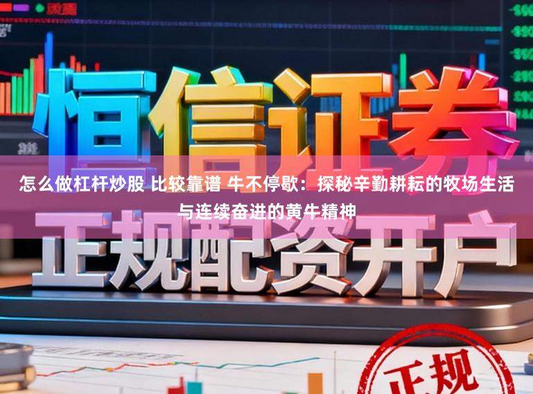 怎么做杠杆炒股 比较靠谱 牛不停歇:探秘辛勤耕耘的牧场生活与连续奋进的黄牛精神